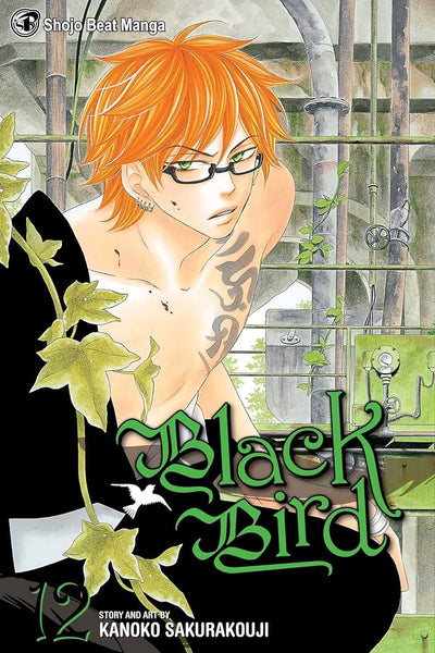 Shojo Beat: Black Bird Vol. 12