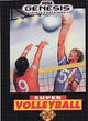 Super Volleyball (NTSC)