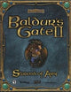 Baldur's Gate II: Shadows of Amn (Jewel Case) (NTSC)