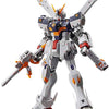 Mobile Suit Crossbone Gundam X1  Scale 1/144 [Built]
