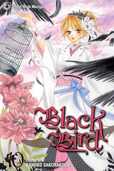 Shojo Beat: Black Bird Vol. 10