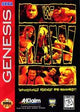 WWF Raw (NTSC)